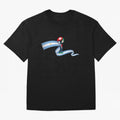 World Cup 2026 Team Argentina Oversized T-Shirt Feel the Roar of FIFA World Cup 2026 USA Canada Mexico for Fans of Haaland and Mbappe and Argentina, Bringing Championship Spirit, Famous Goals, Roaring Crowds and International Football Unity; Ideal